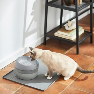 Chewy Pet Fountains & Feeders on Sale 