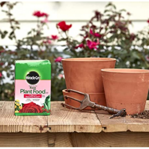 Miracle-Gro 水溶性玫瑰植物肥料 1.5 磅 @ Amazon