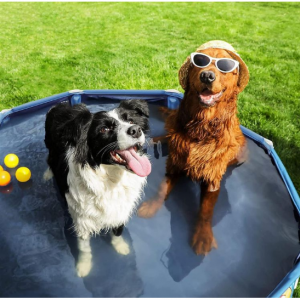 Songmics Foldable Dog Swimming Pools on sale