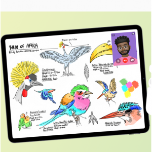 Apple - 返校季大促：买新款Mac/iPad 均享教育优惠价格