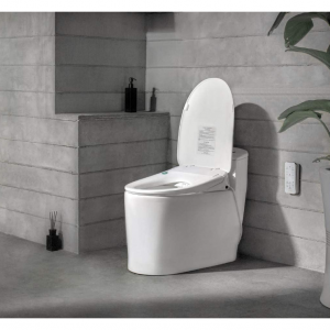 YANXUAN 网易严选 智能马桶盖 滤水除臭杀菌款 带烘干和夜灯 @ Amazon