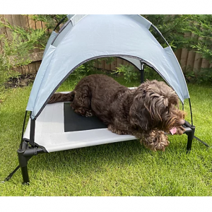 Cooling Pet Canopy Bed @ QVC UK