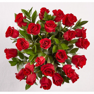 24朵红玫瑰无花瓶