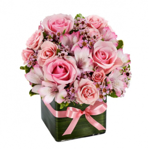 Perfect Pink Rose Gift, Premium