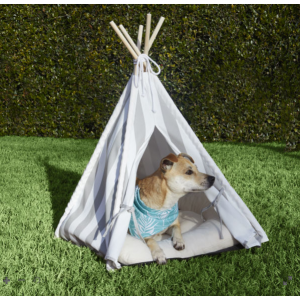 JCPenney Pet Supplies on sale 