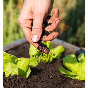 Gardens Alive 精选花园土壤和土壤调节剂热卖