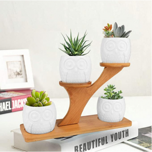 Brajttt 猫头鹰多肉陶瓷小花盆4个 + 竹制展示架 带排水孔 @ Amazon