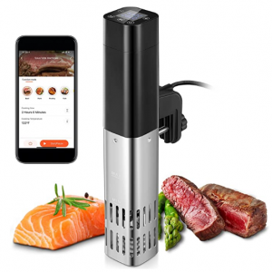 5折！N\A 浸入式真空智能防水烹饪器 800瓦 @ Amazon