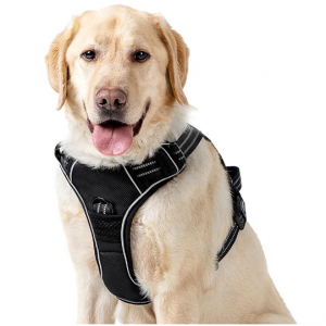 Lesure Dog Harness No Pull for Small Medium Large Dogs @ Amazon