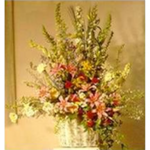 Flowers & Gifts @ Flower Delivery