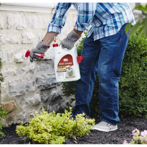 Ortho 家庭装强劲杀虫剂防虫剂1加仑，室内周边用 @ Walmart