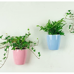 Leoyoubei 壁挂式懒人自浇水塑料小花盆 送5个挂钩 @ Amazon