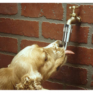 Lixit 戶外龍頭專用狗狗喝水自動出水閥 @ Amazon