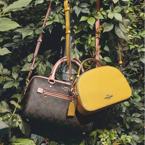 Up to 70% off Clearance Styles @ Coach Outlet CA 