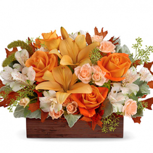 Fall & Thanksgiving Flowers Low to $44.95 @ 1-800-FLORALS