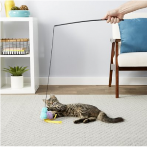 Frisco Bird Teaser with Feathers Cat Toy