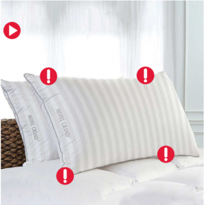 $14 off Hotel Grand Feather & Down Pillow, 2-pack @Costco