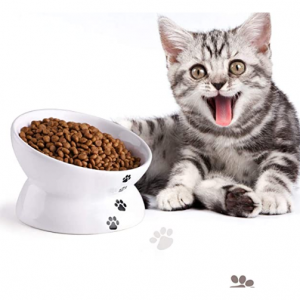 Y YHY Cat Bowl Anti Vomiting, Raised Cat Food Bowls, 5 Inches, White @ Amazon