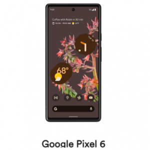 Google Pixel 6 for $600 @Visible