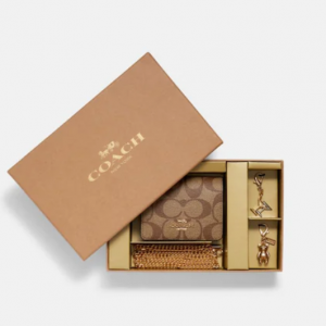 70% Off Coach Boxed Mini Wallet On A Chain In Blocked Signature Canvas @ Coach Outlet