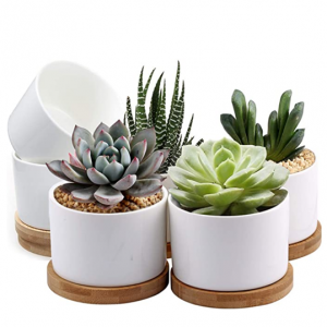 ZOUTOG 多肉陶瓷花盆6件装 带竹托盘 @ Amazon