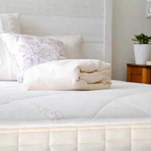 Organic Waterproof Mattress Protector Pad, Full