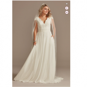 David's Bridal Lace Illusion Back Chiffon Wedding Dress