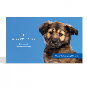 Wisdom Panel Dog DNA Test on Sale @ Chewy