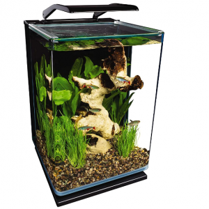 Marineland Portrait Glass LED Aquarium Kit, 5 Gallons, Hidden Filtration @ Amazon