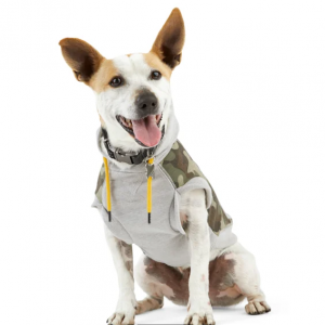 Reddy Dog Apparel on Sale @ Petco