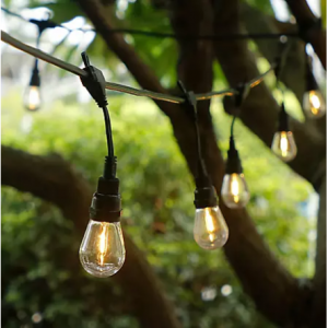 Sam's Club 12月周末大促 A19 LED灯泡平均每个只需$1