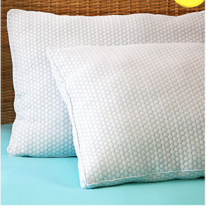 Rue La La 精选枕头热卖