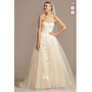 David's Bridal Sheer Lace and Tulle Ball Gown Wedding Dress