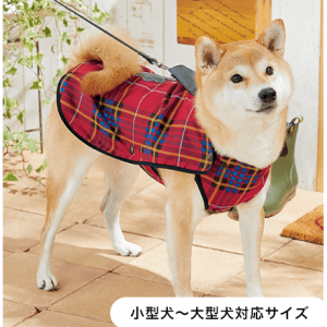 【犬用レインコート】冬のお散歩が快適に！雪・雨濡れから守るレインコート特集