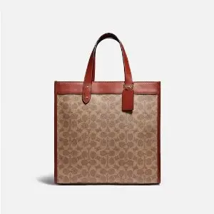 Coach  托特包