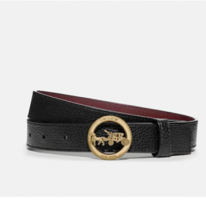 Coach Horse And Carriage Belt