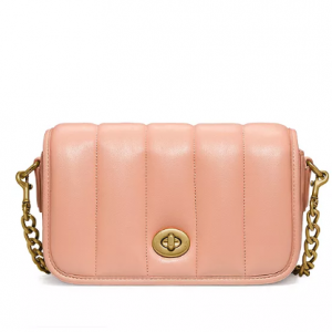 40% Off Coach Dinky 18 Mini Leather Crossbody @ Bloomingdale's