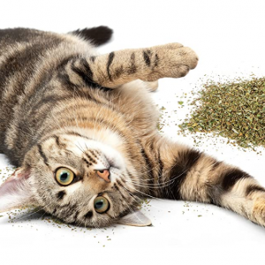 SmartyKat, Organic Catnip, For Cats, 100% Certified Organic, Natural, Pure, Potent, Resealable