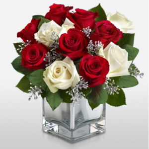 冬季圣诞节 - 红白玫瑰免费花瓶