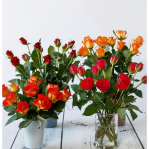 Fresh Cut Flowers from £2.99 @LIDL