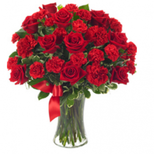 DAZZLING REDS 红玫瑰,Shiown