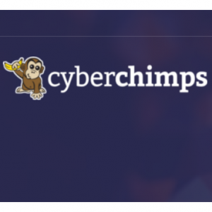 50% off Responsive Pro @CyberChimps 