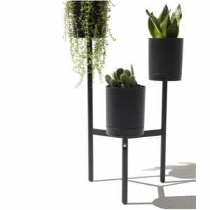 STAGGERED 植物种植