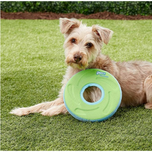 ChuckIt! Zipflight Flyer Dog Frisbee Toy Floats @ Amazon