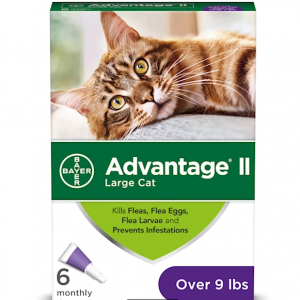 Advantage II Bayer 每月一次的猫和小猫局部跳蚤治疗超过 9 磅，每包 6 件