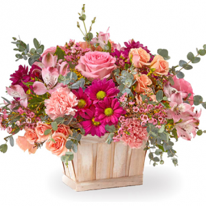 Spring Flowers Low to $49.95 @ 1-800-FLORALS