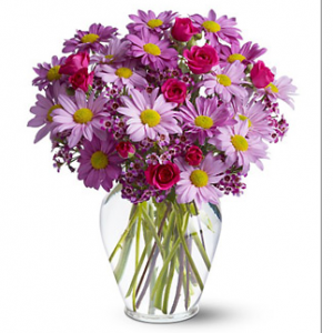 令人愉悦的雏菊花束 #TW434