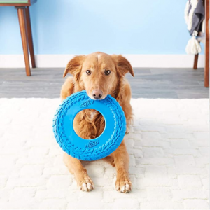 Nerf Dog Flyer Tire Dog Toy, Large @ Chewy