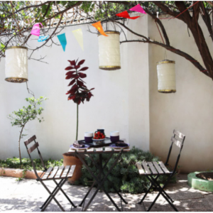 リトルサン イエメンランタン シェバ