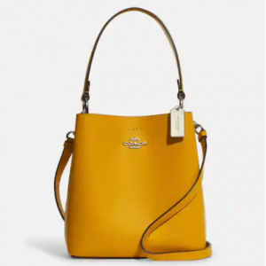 Coach Small Town Bucket Bag